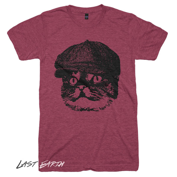 Hooligan Cat