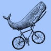 Whale on a Bike
